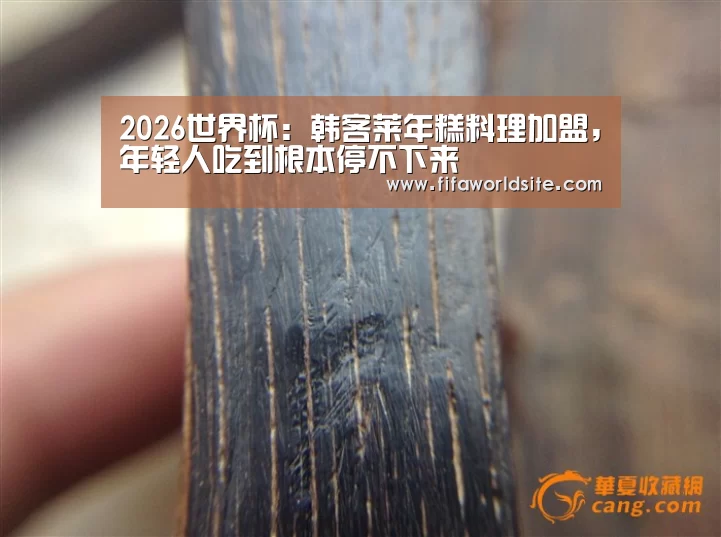 2026世界杯:韩客莱年糕料理加盟,年轻人吃到根本停不下来(图4) 2026世界杯