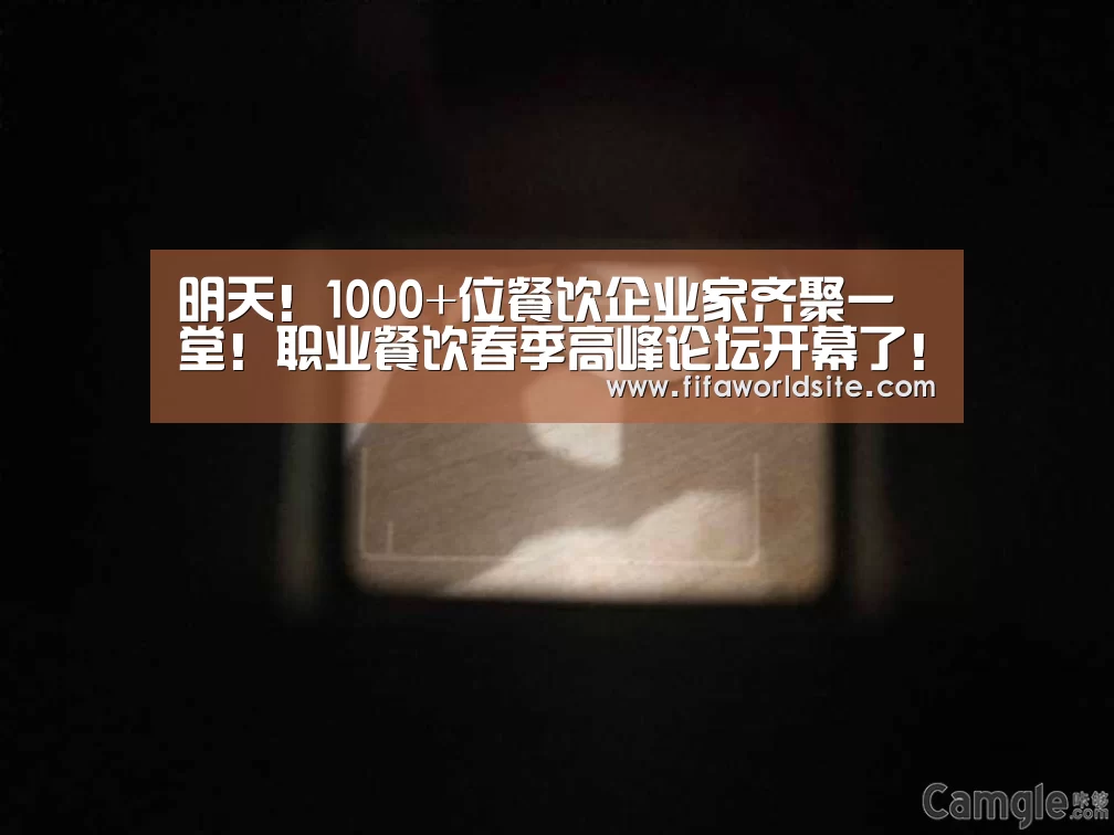 世界杯买球网站