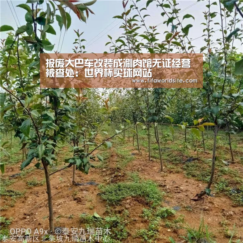 报废大巴车改装成涮肉馆无证经营被查处:世界杯买球网站(图3) 世界杯买球网站