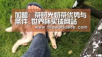 加盟喫茶时光奶茶优势与条件_世界杯买球网站(图1) 世界杯外围买球