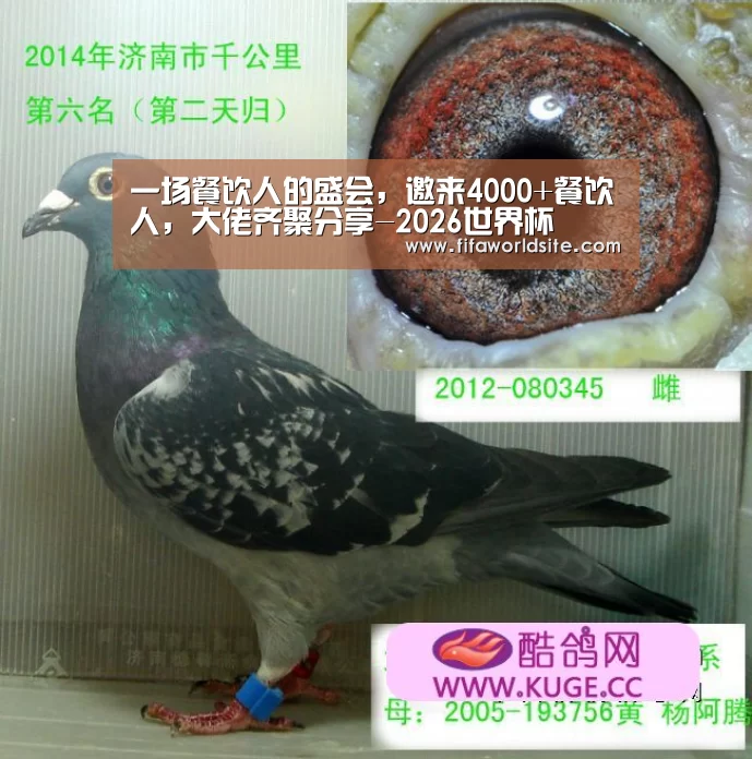 一场餐饮人的盛会,邀来4000+餐饮人,大佬齐聚分享-2026世界杯(图2) 2026世界杯