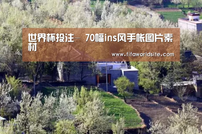 世界杯投注-
70幅ins风手帐图片素材(图4) 世界杯买球网站
