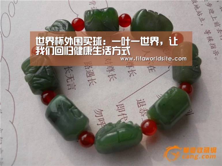 世界杯外围买球:一叶一世界,让我们回归健康生活方式(图2) 世界杯买球网站