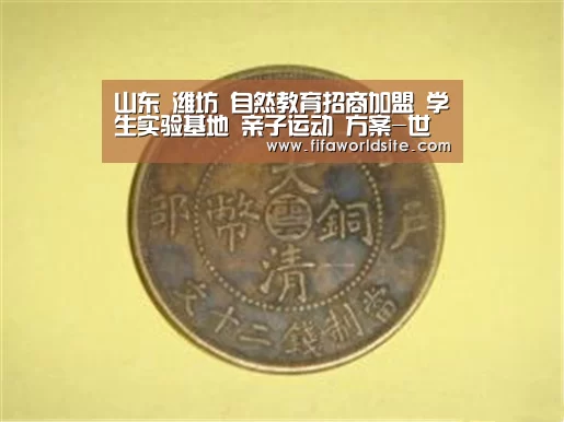 世界杯买球网站